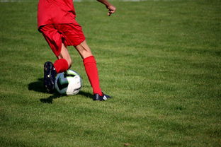 九游下载电脑版官网-青训球员选拔机制存在结构性偏见，青训选拔喜欢那种球员